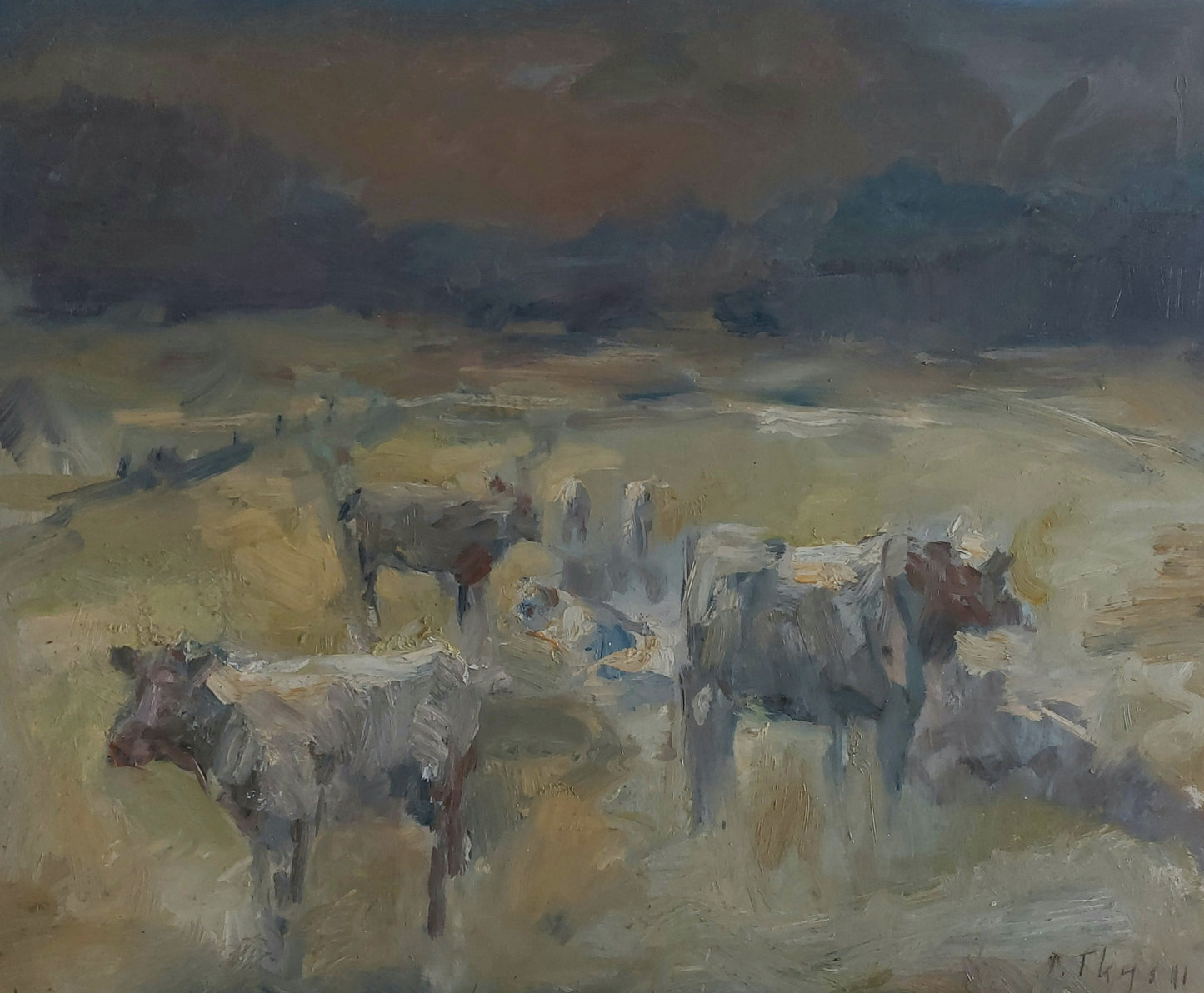 ‘Herd of cows’ 2011 oil on board 50x61cm