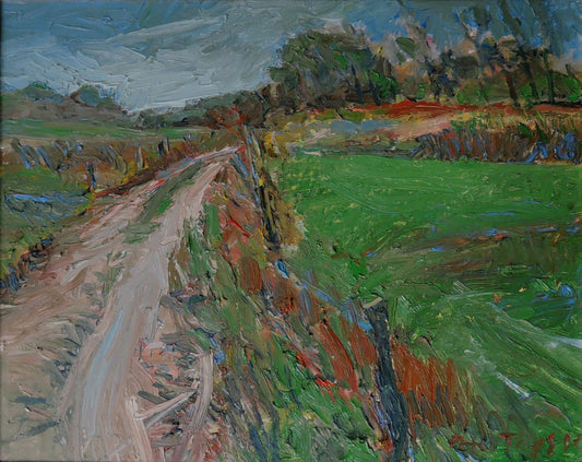 Landscape near Nuenen footsteps Vincent van Gogh