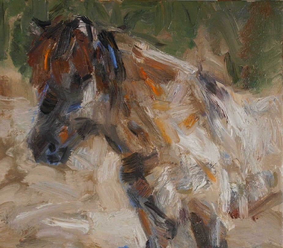 ‘Grey pony’ 2007 oil on linen 35x40cm