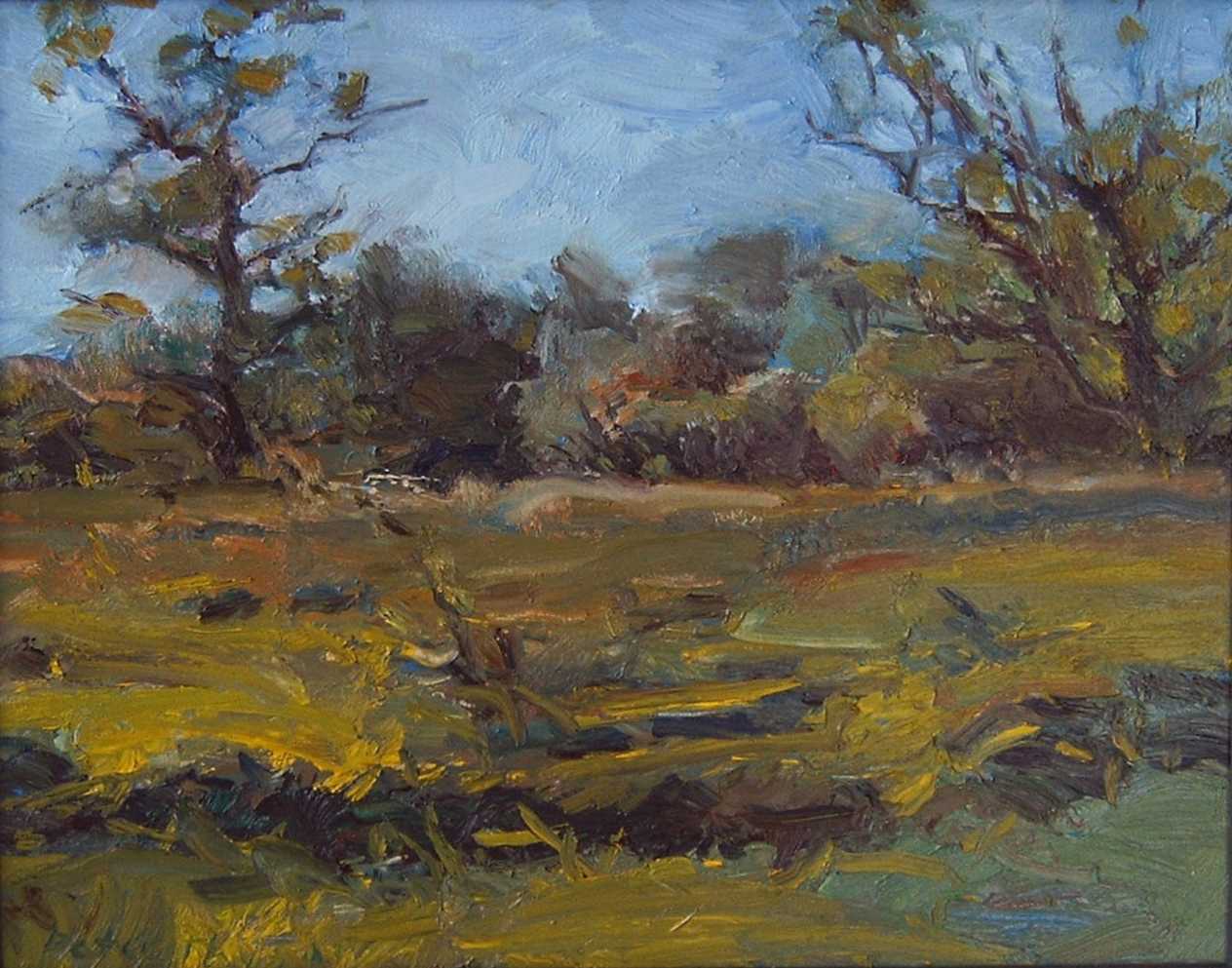 ‘Genneperparks’ 2003 oil on linen 40x50cm